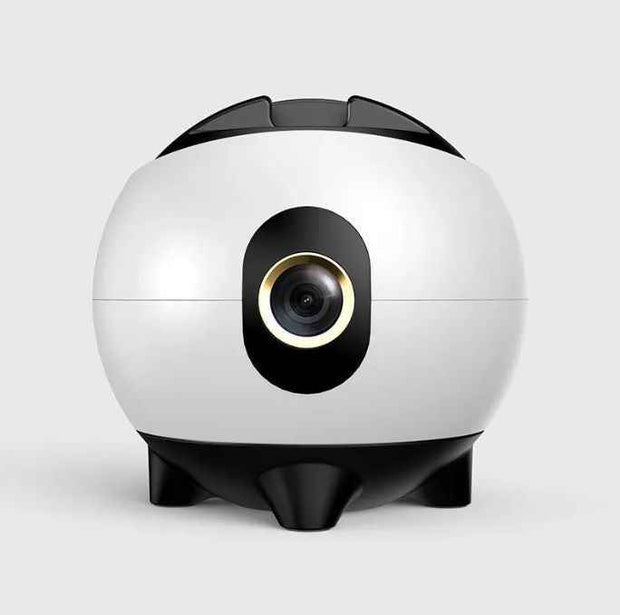 Phone Stabilizer for Creators Stream, Shoot, and Slay the Algorithm - Snagged The Deal Dog