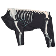 The Snagged Skeleton Pet Costume