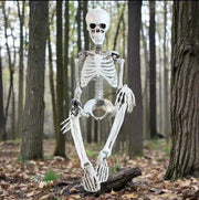 Posable Skeleton Prop Sitting Halloween Decor - Snagged The Deal Dog