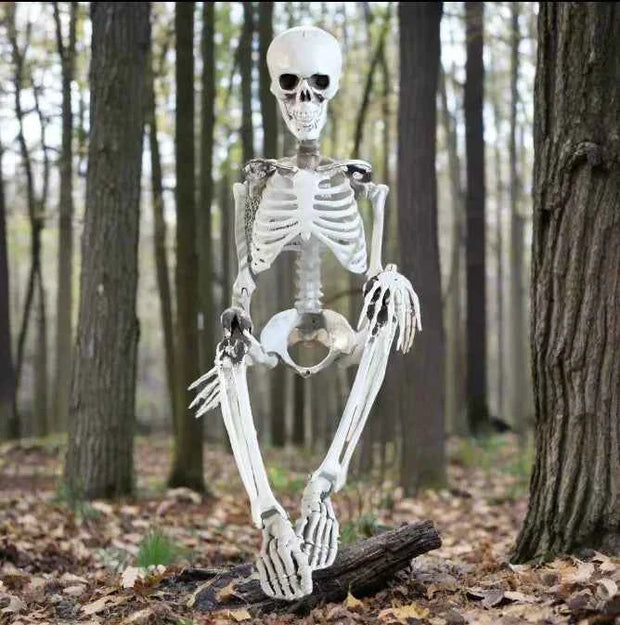 Posable Skeleton Prop Sitting Halloween Decor - Snagged The Deal Dog