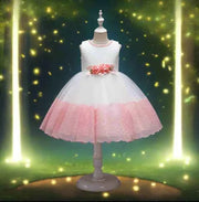 Lace Flower Girl Dress with Tulle Skirt and Elegant Rose Belt - Snagged The Deal Dog