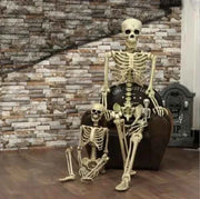 Posable Skeleton Prop Sitting Halloween Decor - Snagged The Deal Dog
