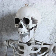 Posable Skeleton Prop Sitting Halloween Decor - Snagged The Deal Dog