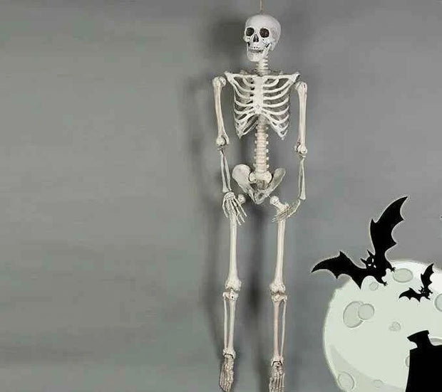 Posable Skeleton Prop Sitting Halloween Decor - Snagged The Deal Dog