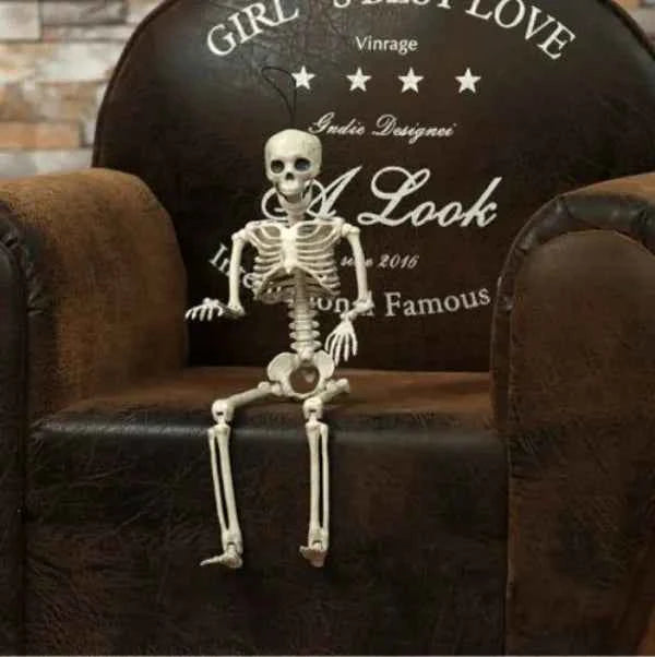 Posable Skeleton Prop Sitting Halloween Decor - Snagged The Deal Dog