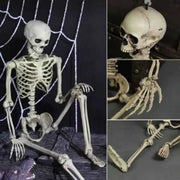 Posable Skeleton Prop Sitting Halloween Decor - Snagged The Deal Dog