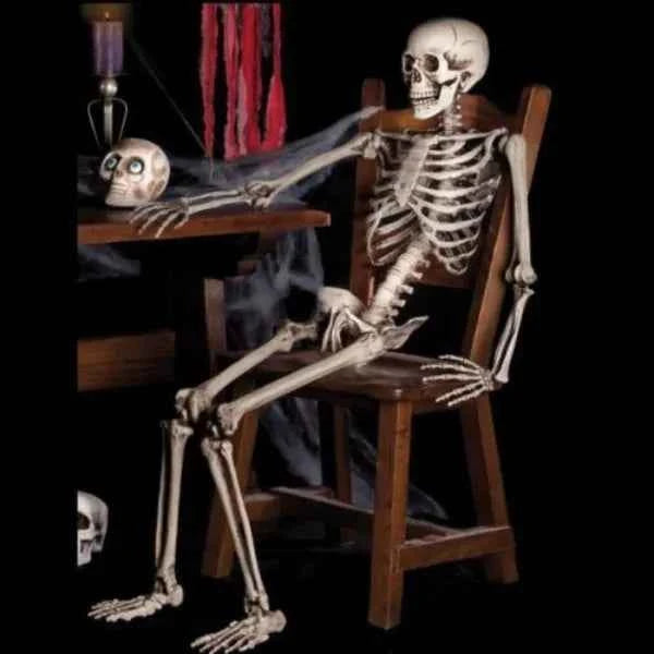 Posable Skeleton Prop Sitting Halloween Decor - Snagged The Deal Dog