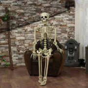 Posable Skeleton Prop Sitting Halloween Decor - Snagged The Deal Dog
