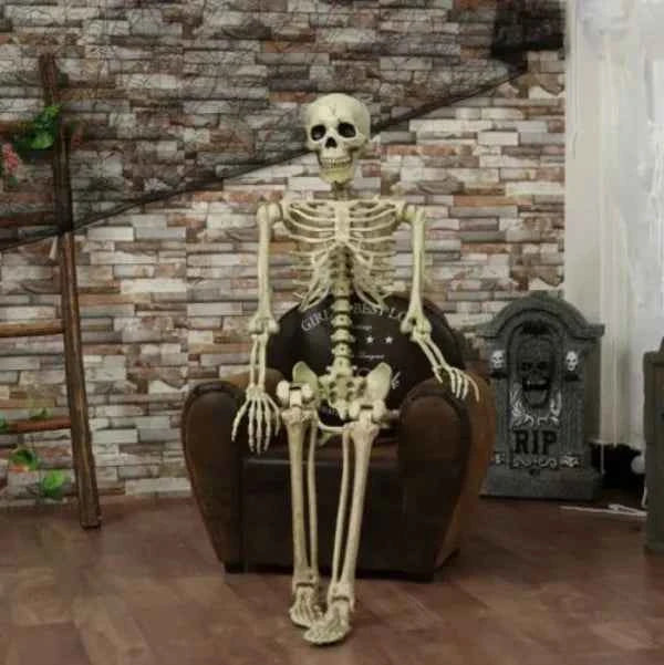 Posable Skeleton Prop Sitting Halloween Decor - Snagged The Deal Dog